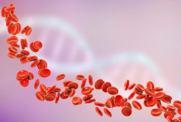 Hematology Image