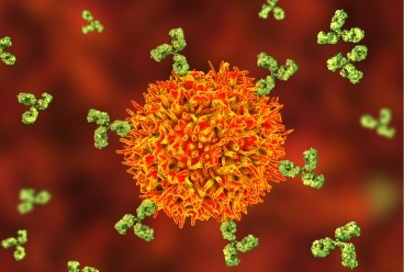 Immunology Image